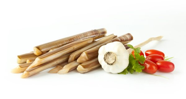 Quelle est la meilleure option de couteau électrique pour découper les rôtis et les volailles ?