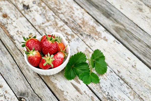 Magasins biologiques : explorez les trésors de la nature bio